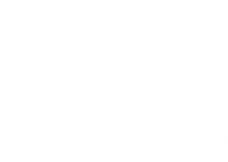 mr.paypa logo